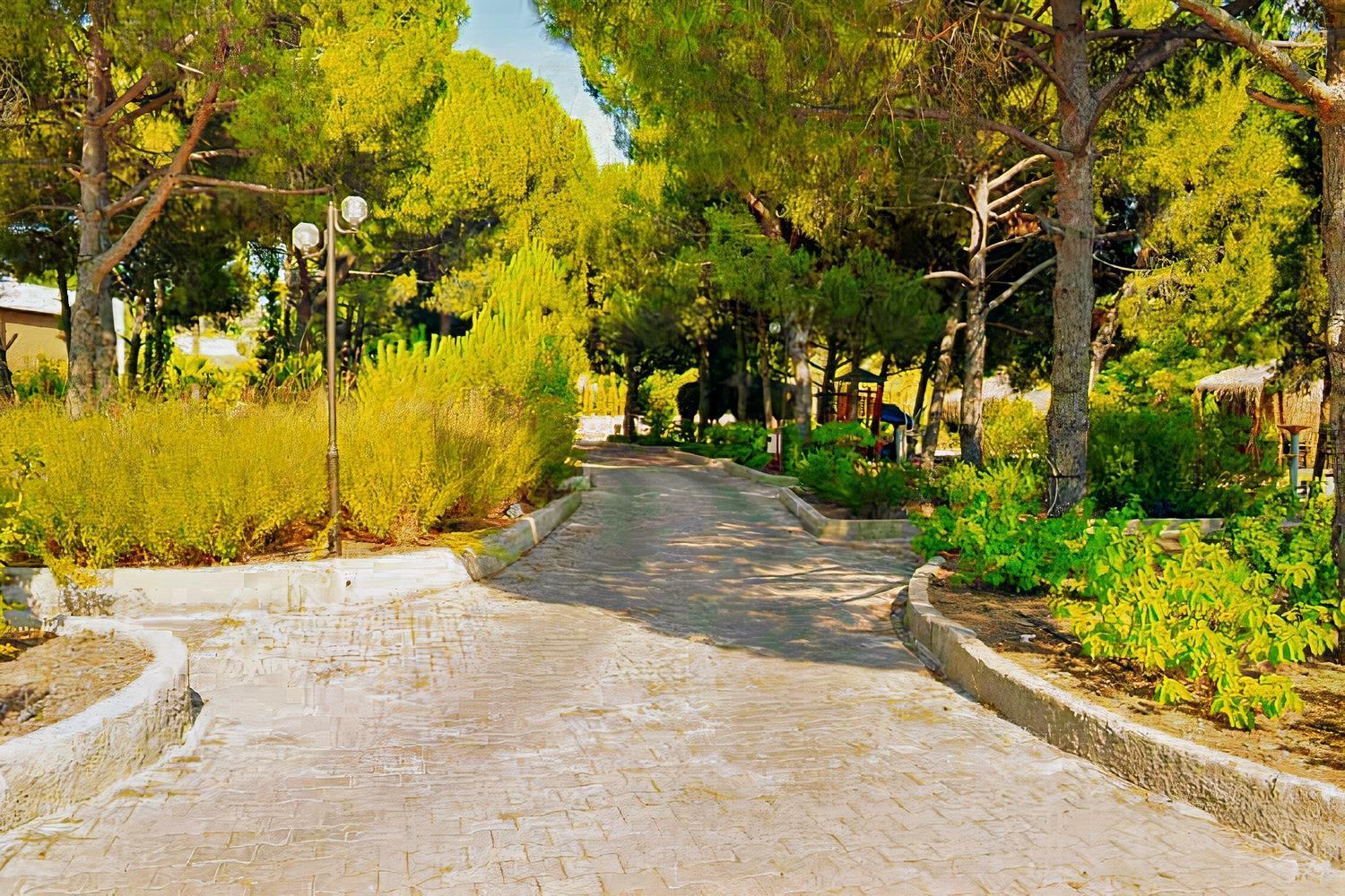 Elitium Thermal Hotel Bozkoy  Dış mekan fotoğraf